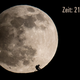 Image for article titled How the hell is this photo of the Moon even possible?